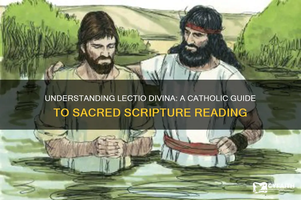 what is lectio divina according to catholic