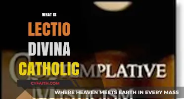 Lectio Divina: Unveiling the Catholic Practice of Sacred Scripture Reading