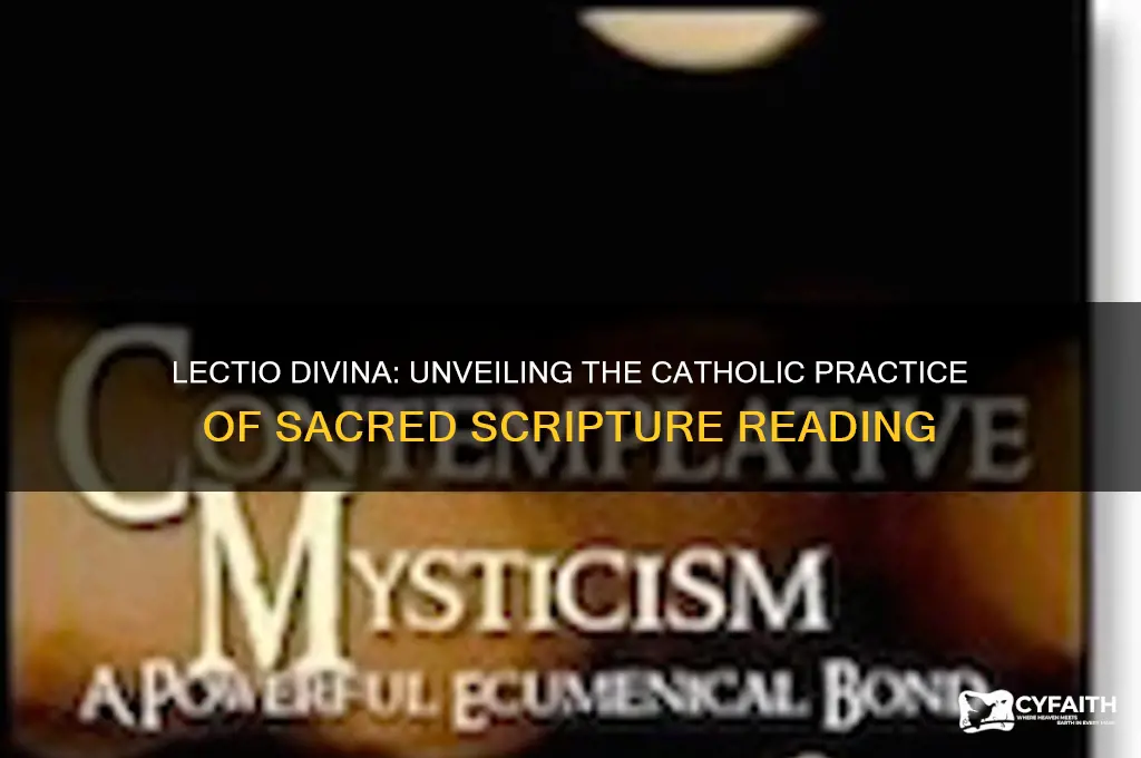 what is lectio divina catholic
