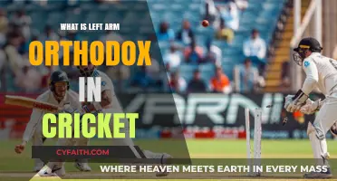 Understanding Left-Arm Orthodox Spin Bowling in Cricket: A Comprehensive Guide