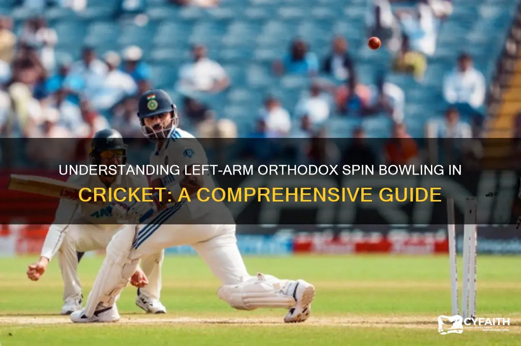 what is left arm orthodox in cricket