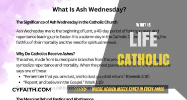 Exploring the Catholic Faith: Understanding Life's Purpose and Meaning