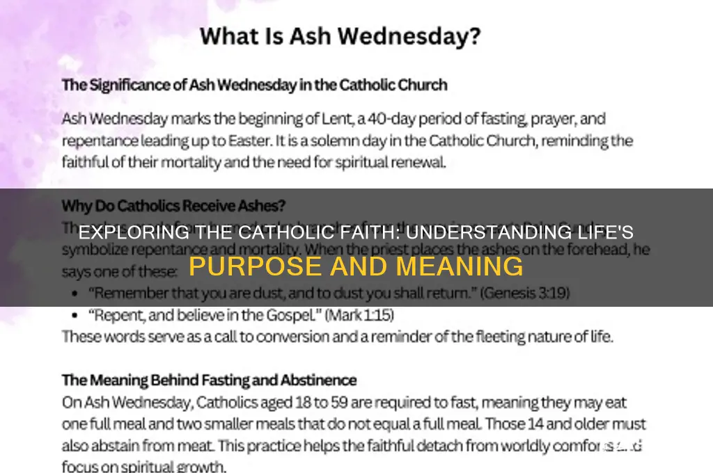 what is life catholic