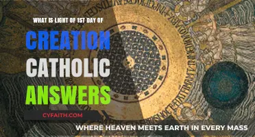 Catholic Insights: Understanding the Light of Creation's First Day