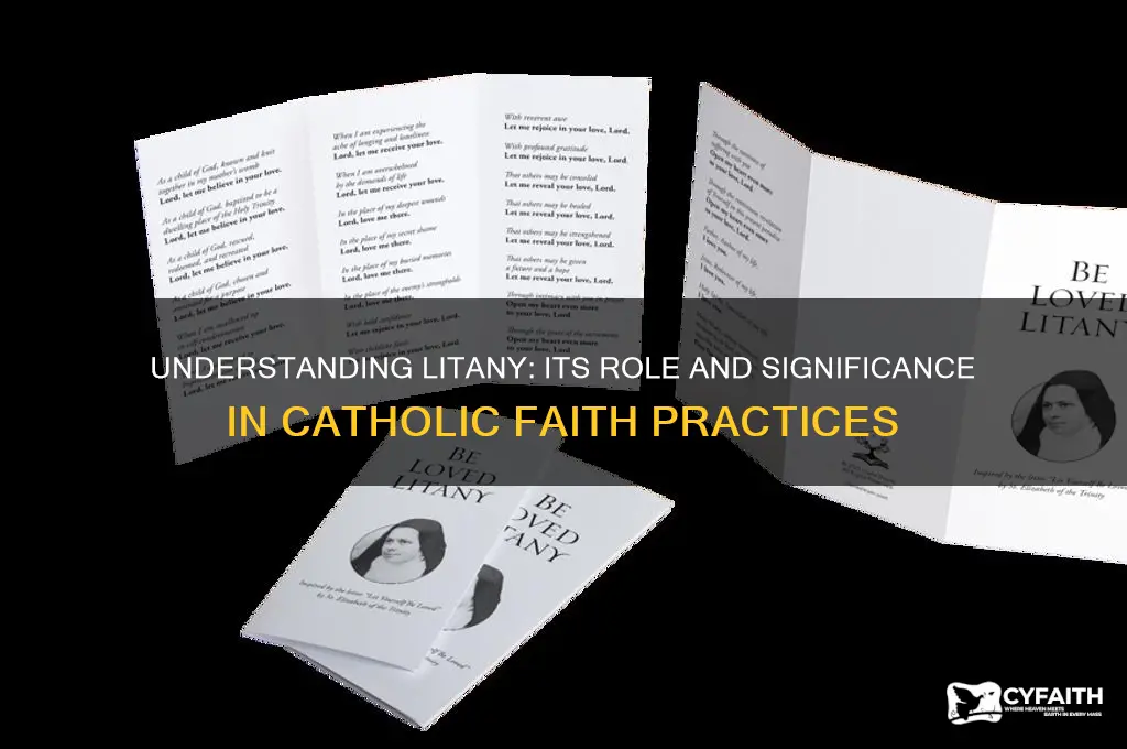 what is litney in catholic fatith