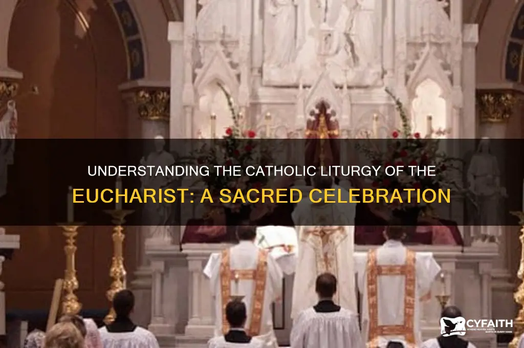 what is liturgy of the eucharist catholic