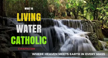 Understanding Living Water Catholic: Faith, Community, and Spiritual Renewal Explained