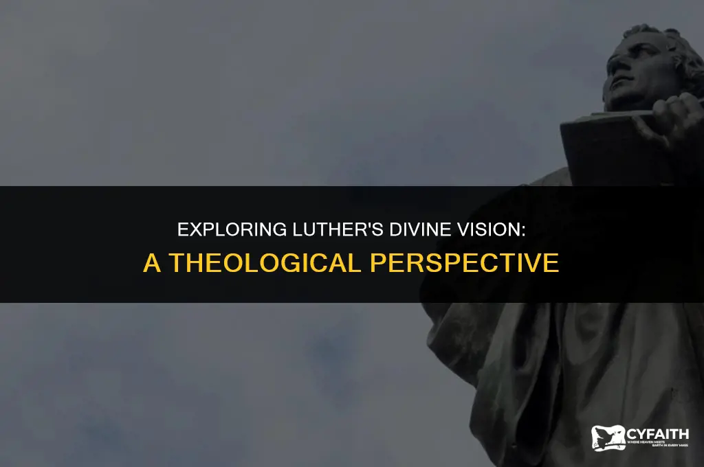 what is luthers vision in god