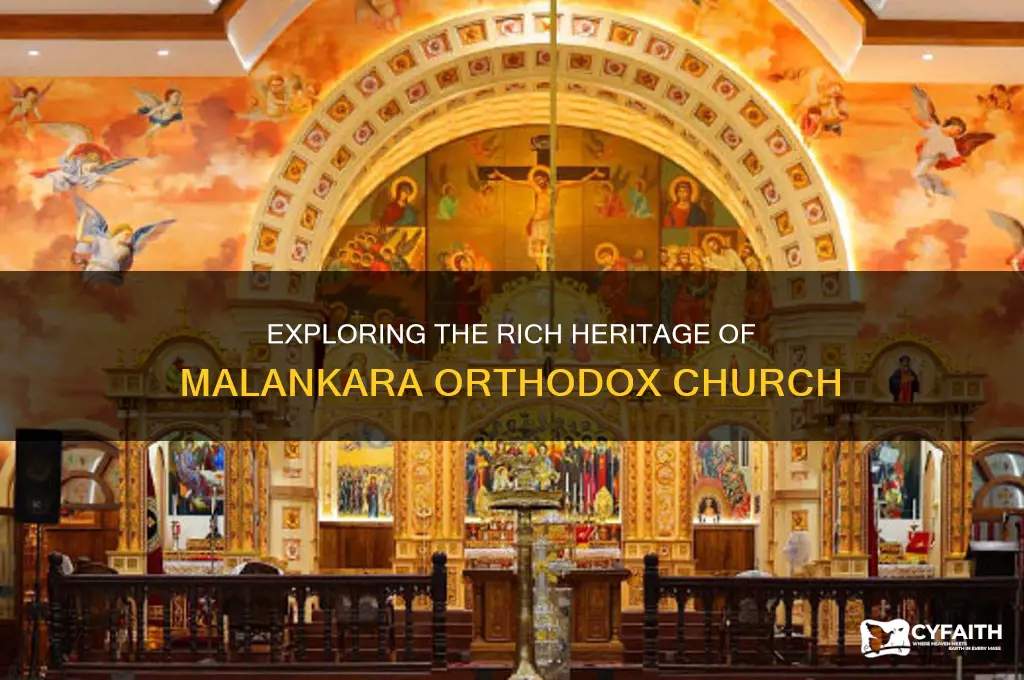 what is malankara orthodox church