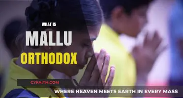 Understanding Mallu Orthodox: Culture, Traditions, and Identity Explained