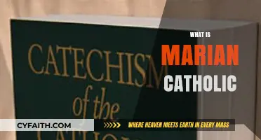Understanding Marian Catholic: Faith, Education, and Community Explained