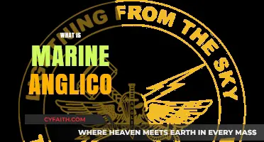 Unveiling Marine Anglico: Origins, Significance, and Modern Applications Explained