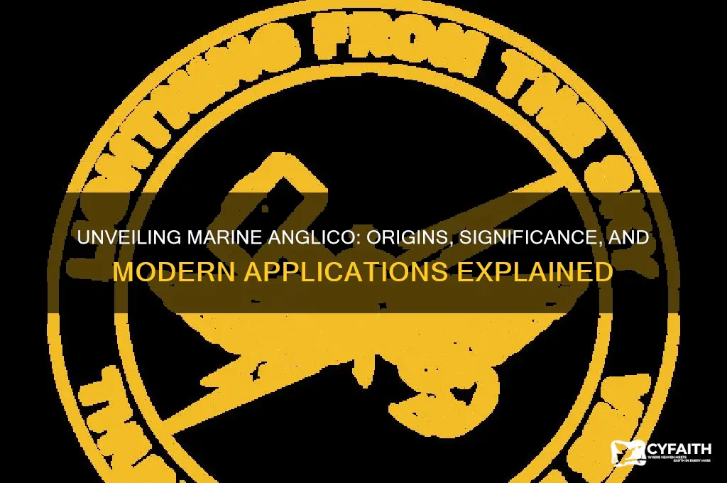 what is marine anglico