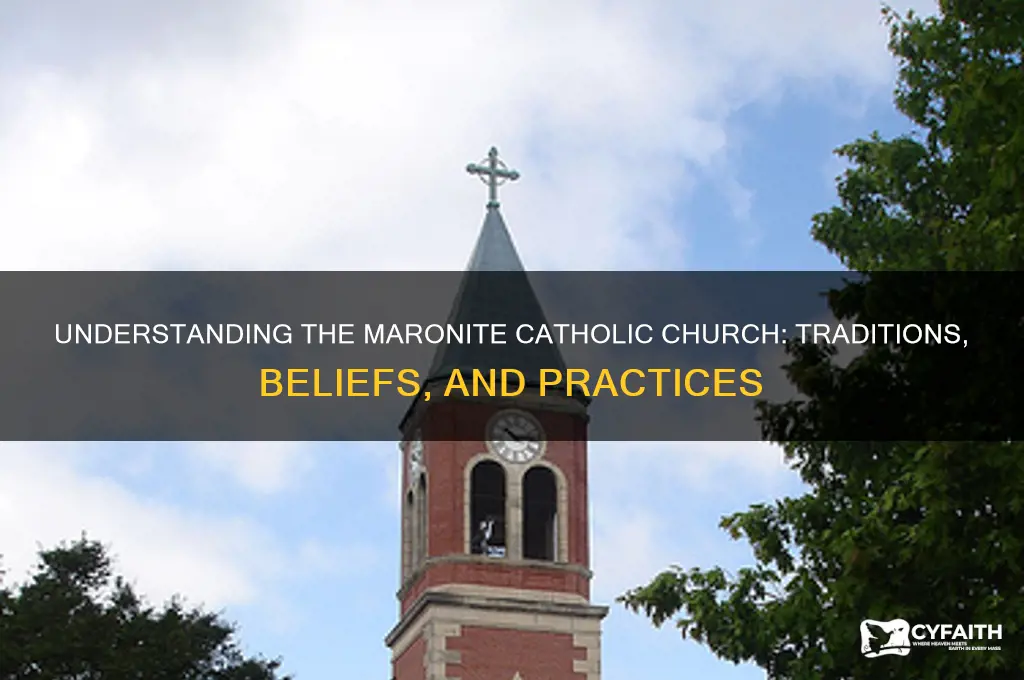 what is marionite catholic