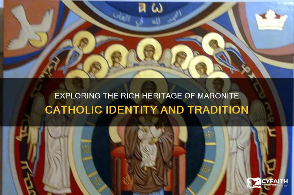 what is maronite catholic identity