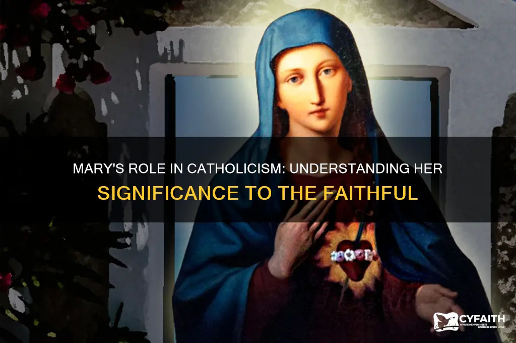 what is mary to catholics