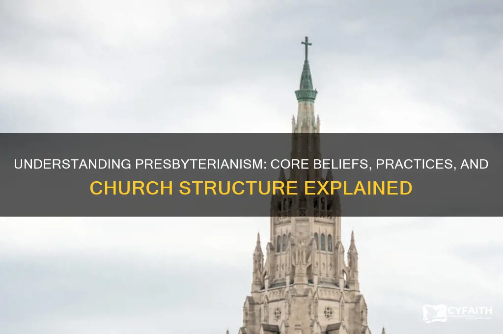 what is means presbyterian