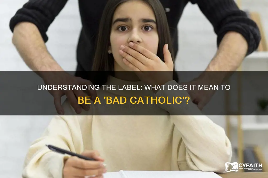 what is meant as a bad catholic