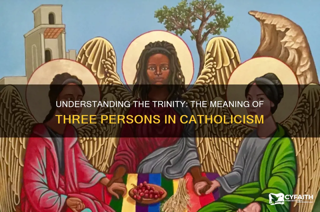 what is meant by 3 persons catholic