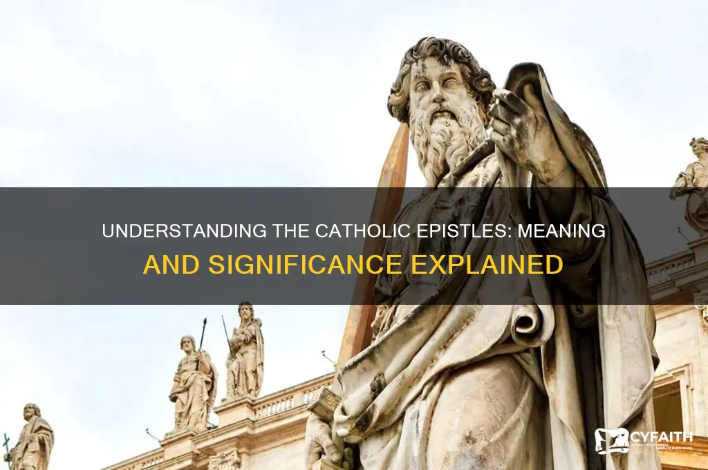 what is meant by a catholic letter