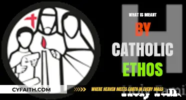 Understanding Catholic Ethos: Core Principles and Values Explained