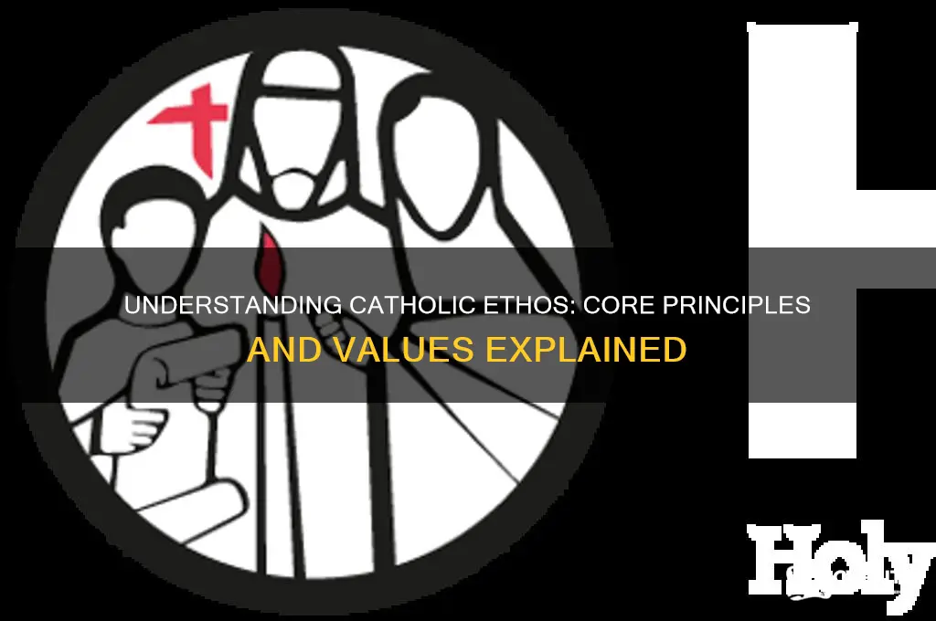 what is meant by catholic ethos