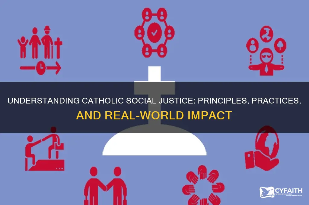 what is meant by catholic social justice