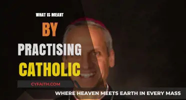 Understanding the Faith: What It Truly Means to Be a Practising Catholic