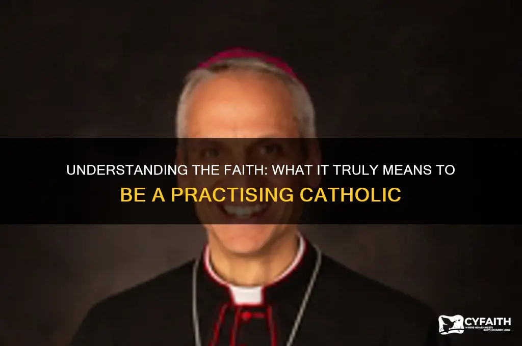 what is meant by practising catholic
