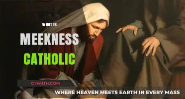 Understanding Meekness: A Catholic Perspective on Humility and Strength