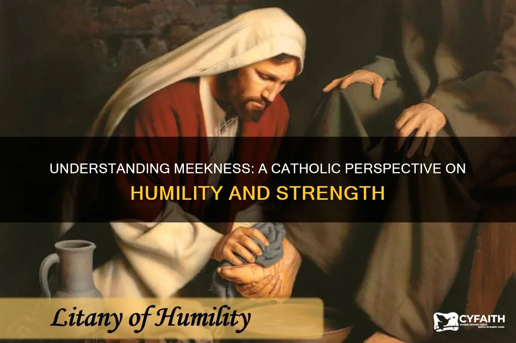 what is meekness catholic