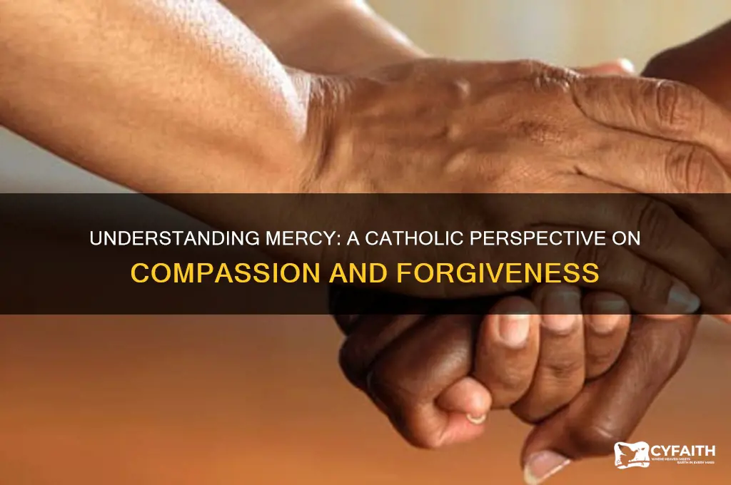 what is mercy catholic answers