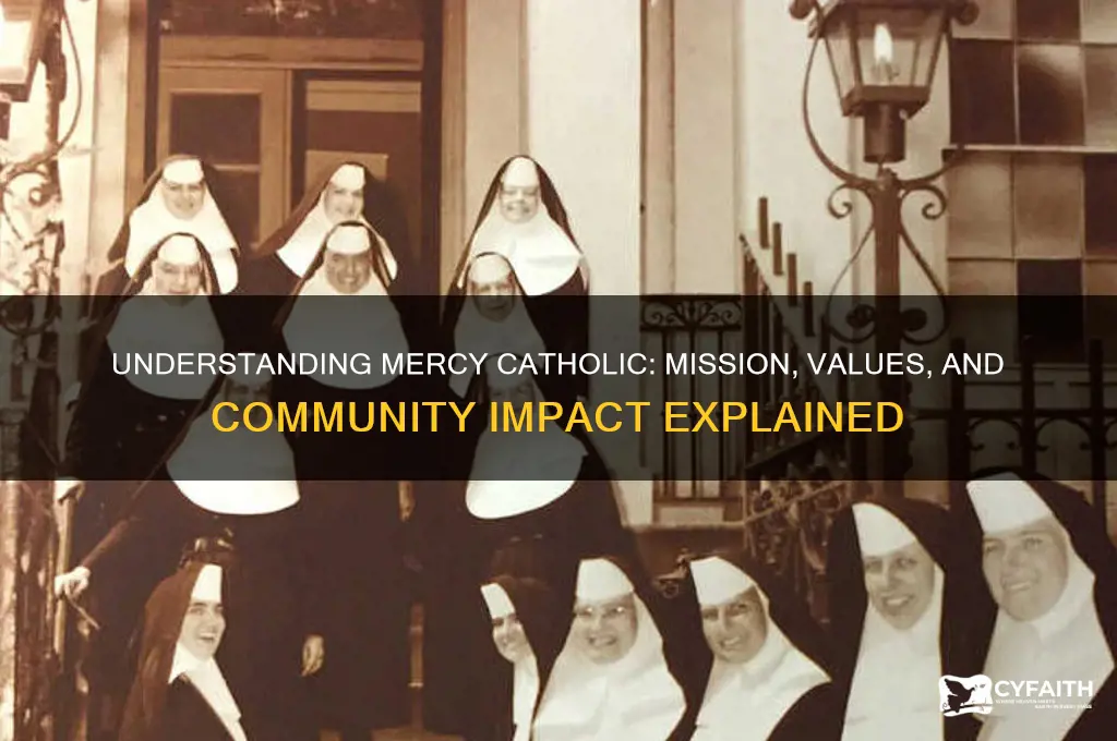 what is mercy catholic