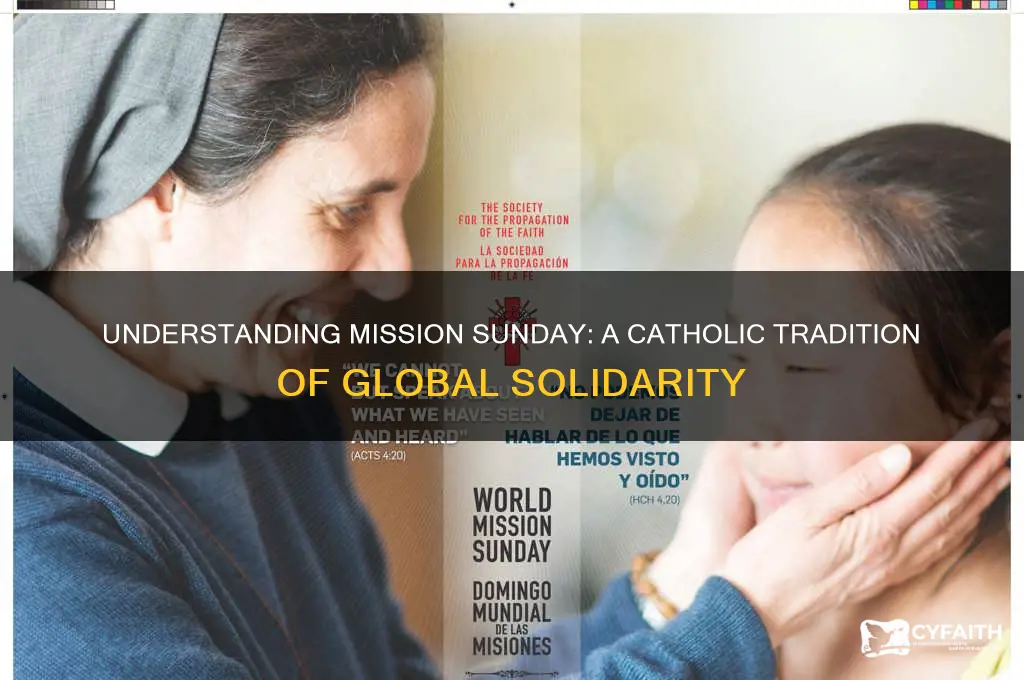 what is mission sunday catholic