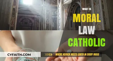 Understanding Catholic Moral Law: Principles, Teachings, and Ethical Guidance