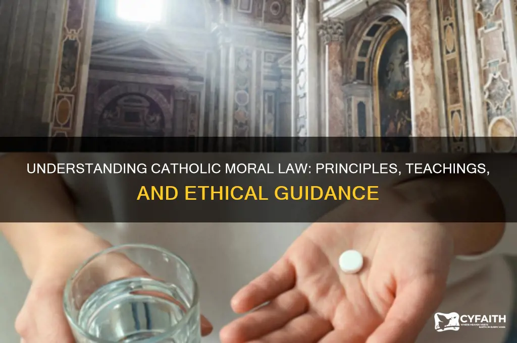 what is moral law catholic