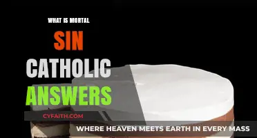 Mortal Sin: Catholic Understanding of Grave Misconduct