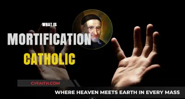 Understanding Mortification in Catholic Spirituality: Practices and Purpose