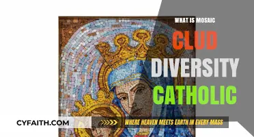 Understanding Mosaic Cloud Diversity in the Catholic Context