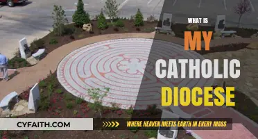 Discover Your Local Catholic Diocese: A Guide to Finding Yours