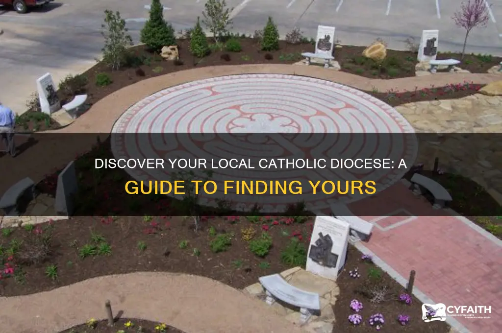what is my catholic diocese