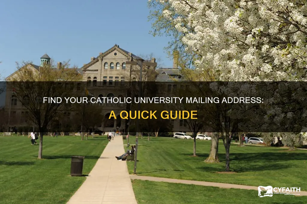 what is my catholic university mailing address