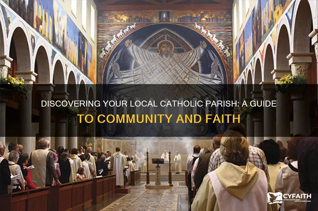 what is my local catholic parish