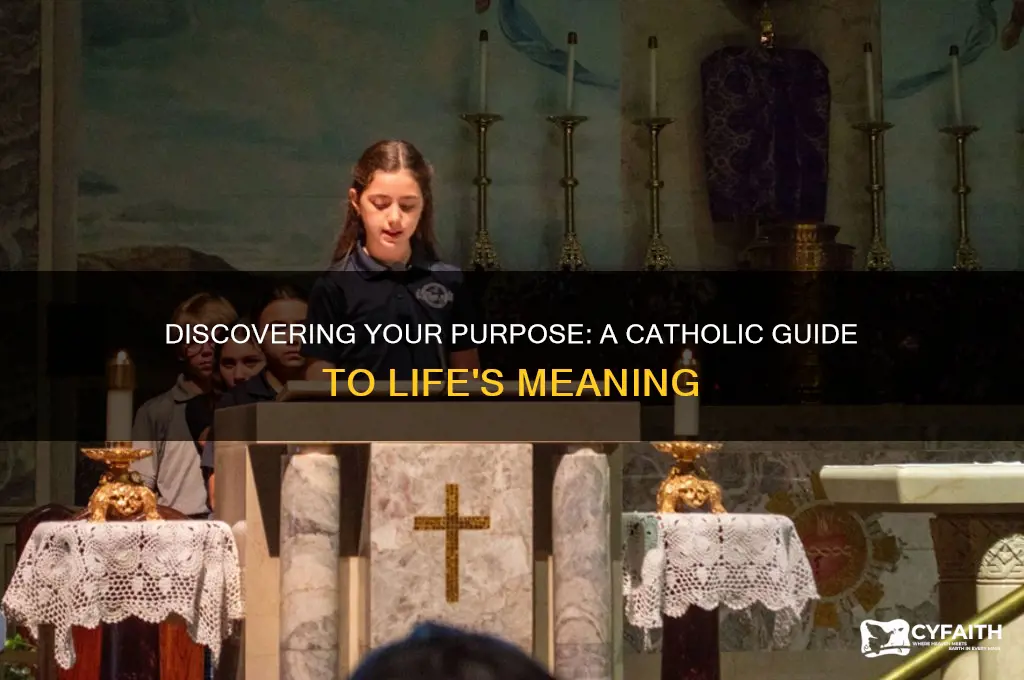 what is my purpose catholic