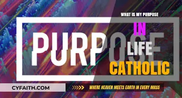 Discovering God's Plan: A Catholic Guide to Finding Life's Purpose