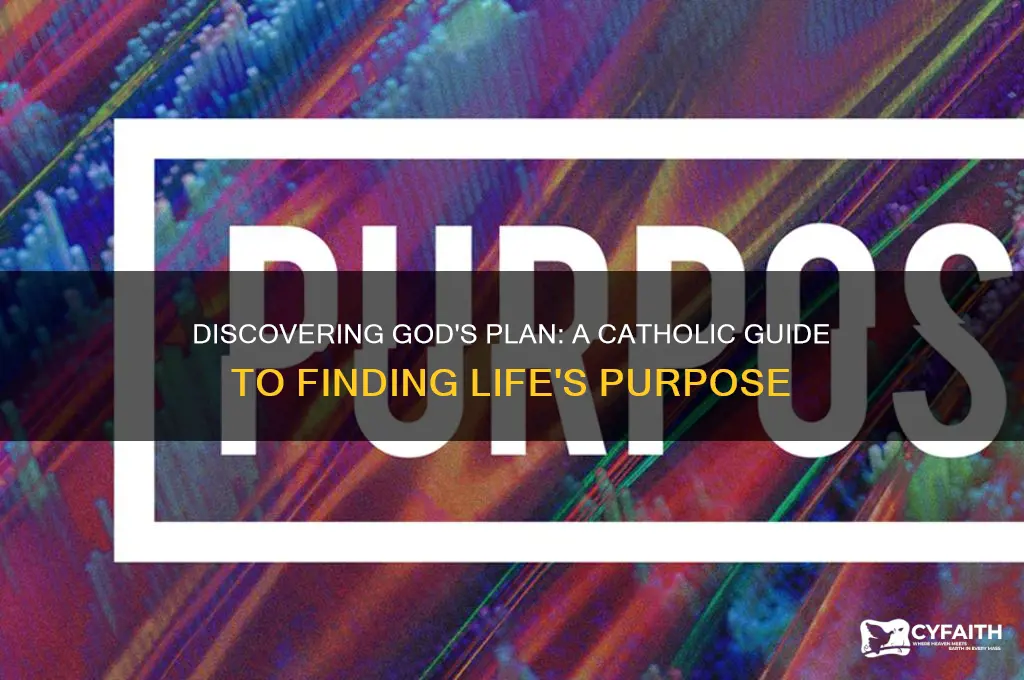 what is my purpose in life catholic