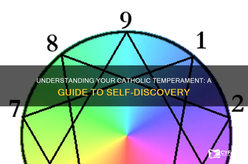 what is my temperamet catholic