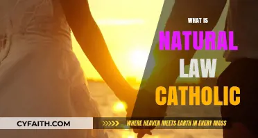 Understanding Natural Law: A Catholic Perspective on Moral Principles