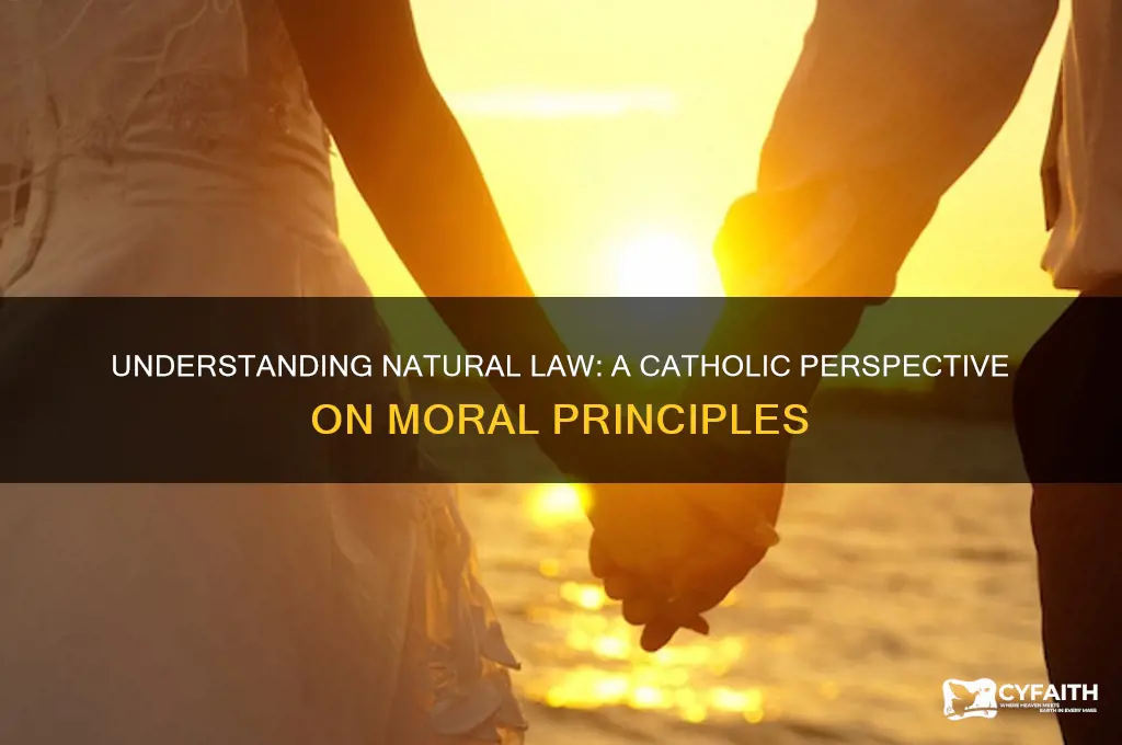 what is natural law catholic