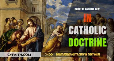 Understanding Natural Law: Catholic Doctrine's Timeless Moral Compass Explained
